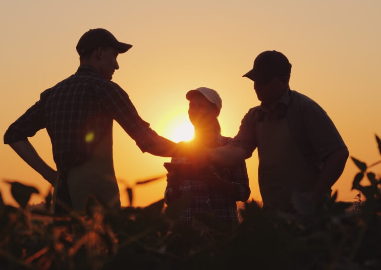 Fledbag dealer silhouettes sunset